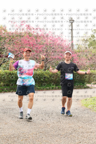 2026左岸竹東櫻花馬拉松Zhudong Sakura Marathon