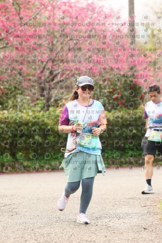 2026左岸竹東櫻花馬拉松Zhudong Sakura Marathon