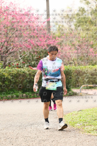 2026左岸竹東櫻花馬拉松Zhudong Sakura Marathon