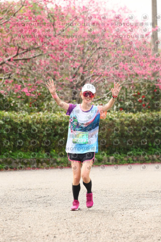 2026左岸竹東櫻花馬拉松Zhudong Sakura Marathon
