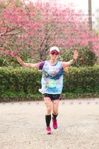 2026左岸竹東櫻花馬拉松Zhudong Sakura Marathon