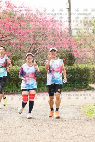 2026左岸竹東櫻花馬拉松Zhudong Sakura Marathon