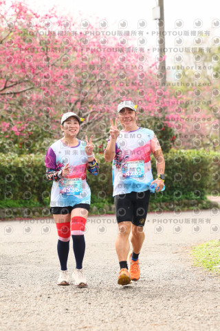 2026左岸竹東櫻花馬拉松Zhudong Sakura Marathon