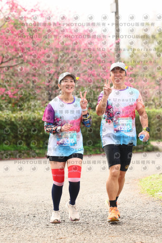 2026左岸竹東櫻花馬拉松Zhudong Sakura Marathon