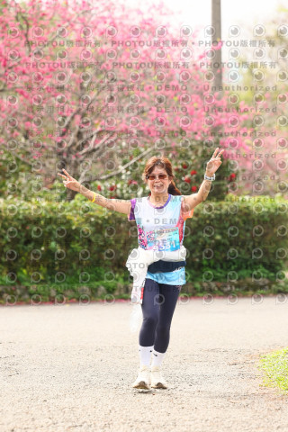 2026左岸竹東櫻花馬拉松Zhudong Sakura Marathon