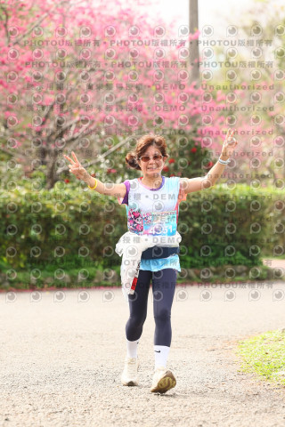 2026左岸竹東櫻花馬拉松Zhudong Sakura Marathon