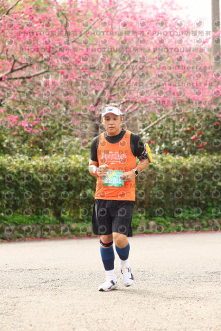 2026左岸竹東櫻花馬拉松Zhudong Sakura Marathon