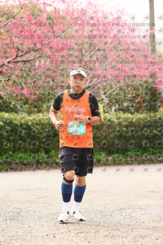 2026左岸竹東櫻花馬拉松Zhudong Sakura Marathon