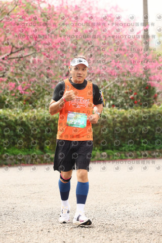 2026左岸竹東櫻花馬拉松Zhudong Sakura Marathon