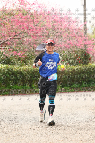 2026左岸竹東櫻花馬拉松Zhudong Sakura Marathon