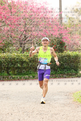 2026左岸竹東櫻花馬拉松Zhudong Sakura Marathon