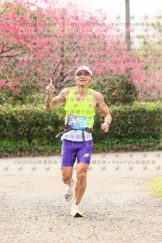 2026左岸竹東櫻花馬拉松Zhudong Sakura Marathon