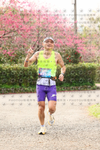 2026左岸竹東櫻花馬拉松Zhudong Sakura Marathon