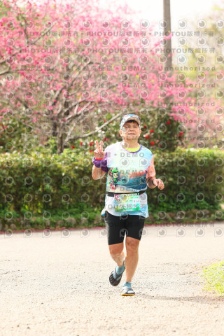 2026左岸竹東櫻花馬拉松Zhudong Sakura Marathon