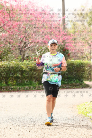 2026左岸竹東櫻花馬拉松Zhudong Sakura Marathon
