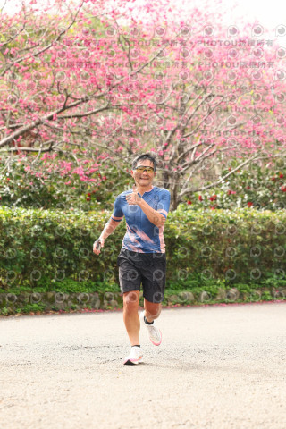2026左岸竹東櫻花馬拉松Zhudong Sakura Marathon