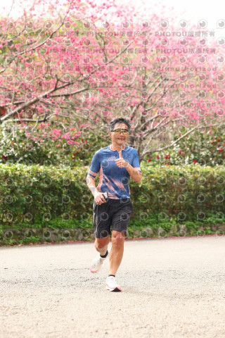 2026左岸竹東櫻花馬拉松Zhudong Sakura Marathon
