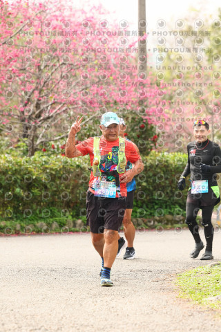 2026左岸竹東櫻花馬拉松Zhudong Sakura Marathon