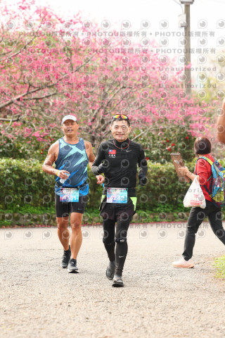 2026左岸竹東櫻花馬拉松Zhudong Sakura Marathon