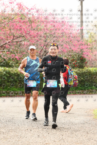 2026左岸竹東櫻花馬拉松Zhudong Sakura Marathon
