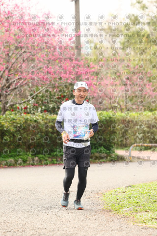 2026左岸竹東櫻花馬拉松Zhudong Sakura Marathon