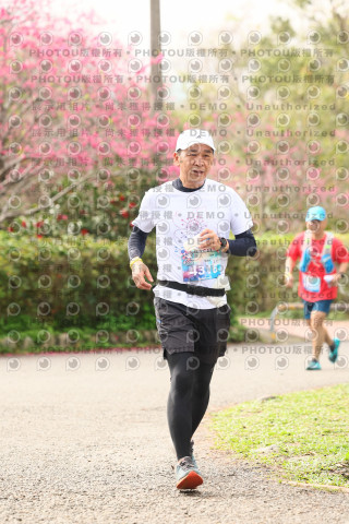 2026左岸竹東櫻花馬拉松Zhudong Sakura Marathon