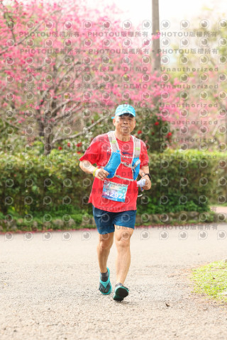 2026左岸竹東櫻花馬拉松Zhudong Sakura Marathon
