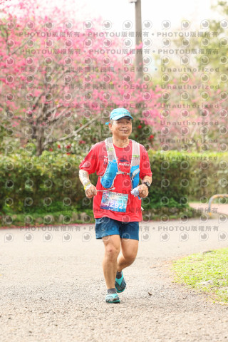 2026左岸竹東櫻花馬拉松Zhudong Sakura Marathon