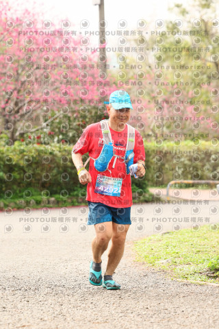 2026左岸竹東櫻花馬拉松Zhudong Sakura Marathon