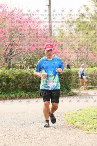 2026左岸竹東櫻花馬拉松Zhudong Sakura Marathon