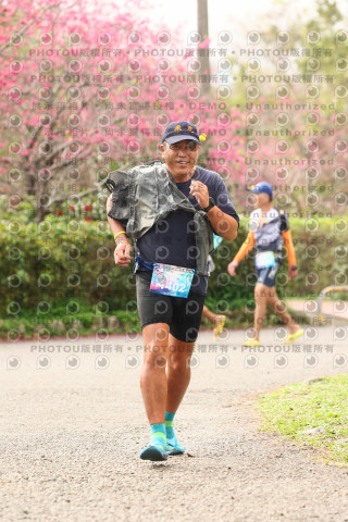 2026左岸竹東櫻花馬拉松Zhudong Sakura Marathon