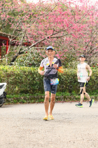 2026左岸竹東櫻花馬拉松Zhudong Sakura Marathon