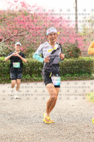 2026左岸竹東櫻花馬拉松Zhudong Sakura Marathon