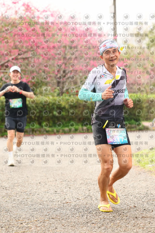 2026左岸竹東櫻花馬拉松Zhudong Sakura Marathon