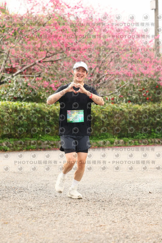 2026左岸竹東櫻花馬拉松Zhudong Sakura Marathon