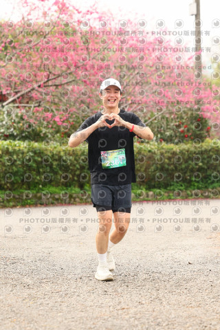 2026左岸竹東櫻花馬拉松Zhudong Sakura Marathon