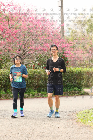 2026左岸竹東櫻花馬拉松Zhudong Sakura Marathon