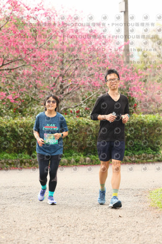 2026左岸竹東櫻花馬拉松Zhudong Sakura Marathon