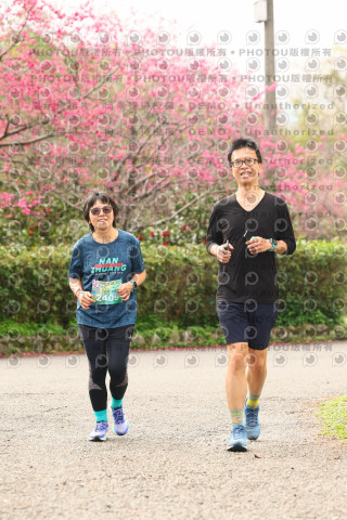 2026左岸竹東櫻花馬拉松Zhudong Sakura Marathon