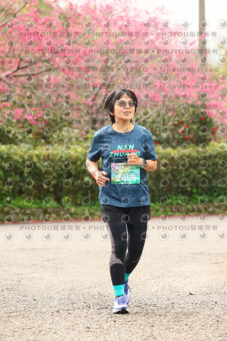 2026左岸竹東櫻花馬拉松Zhudong Sakura Marathon
