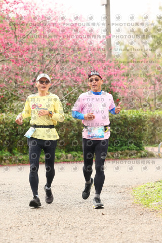 2026左岸竹東櫻花馬拉松Zhudong Sakura Marathon