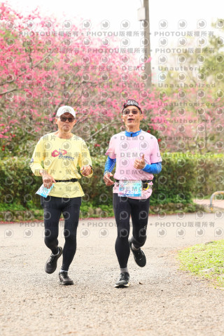 2026左岸竹東櫻花馬拉松Zhudong Sakura Marathon
