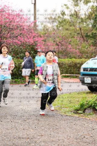 2026左岸竹東櫻花馬拉松Zhudong Sakura Marathon