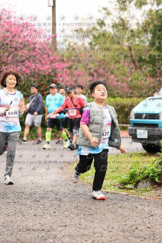 2026左岸竹東櫻花馬拉松Zhudong Sakura Marathon