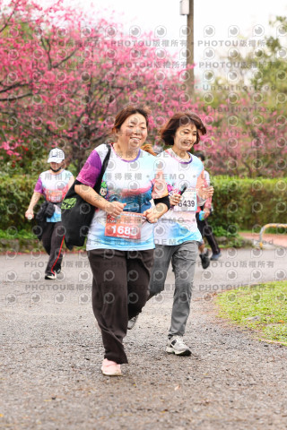 2026左岸竹東櫻花馬拉松Zhudong Sakura Marathon