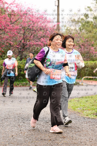 2026左岸竹東櫻花馬拉松Zhudong Sakura Marathon