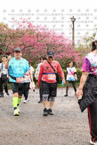 2026左岸竹東櫻花馬拉松Zhudong Sakura Marathon