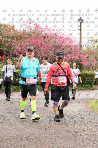 2026左岸竹東櫻花馬拉松Zhudong Sakura Marathon
