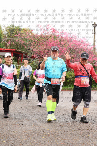 2026左岸竹東櫻花馬拉松Zhudong Sakura Marathon