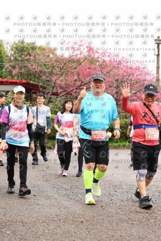 2026左岸竹東櫻花馬拉松Zhudong Sakura Marathon